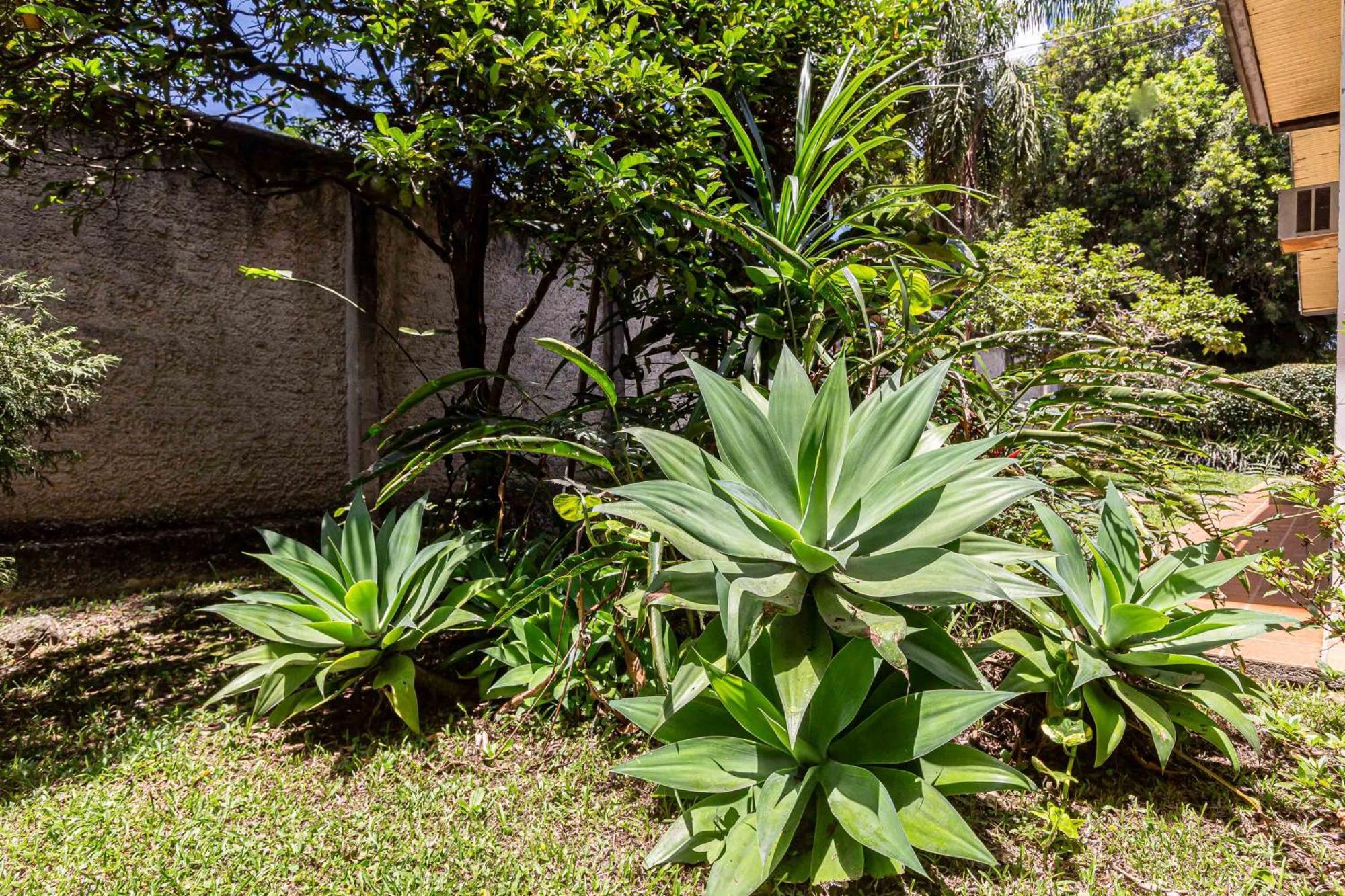 Memora Guesthouse Curitiba - Quartos Em Casa Proximo Ao Parque Bacacheri Экстерьер фото